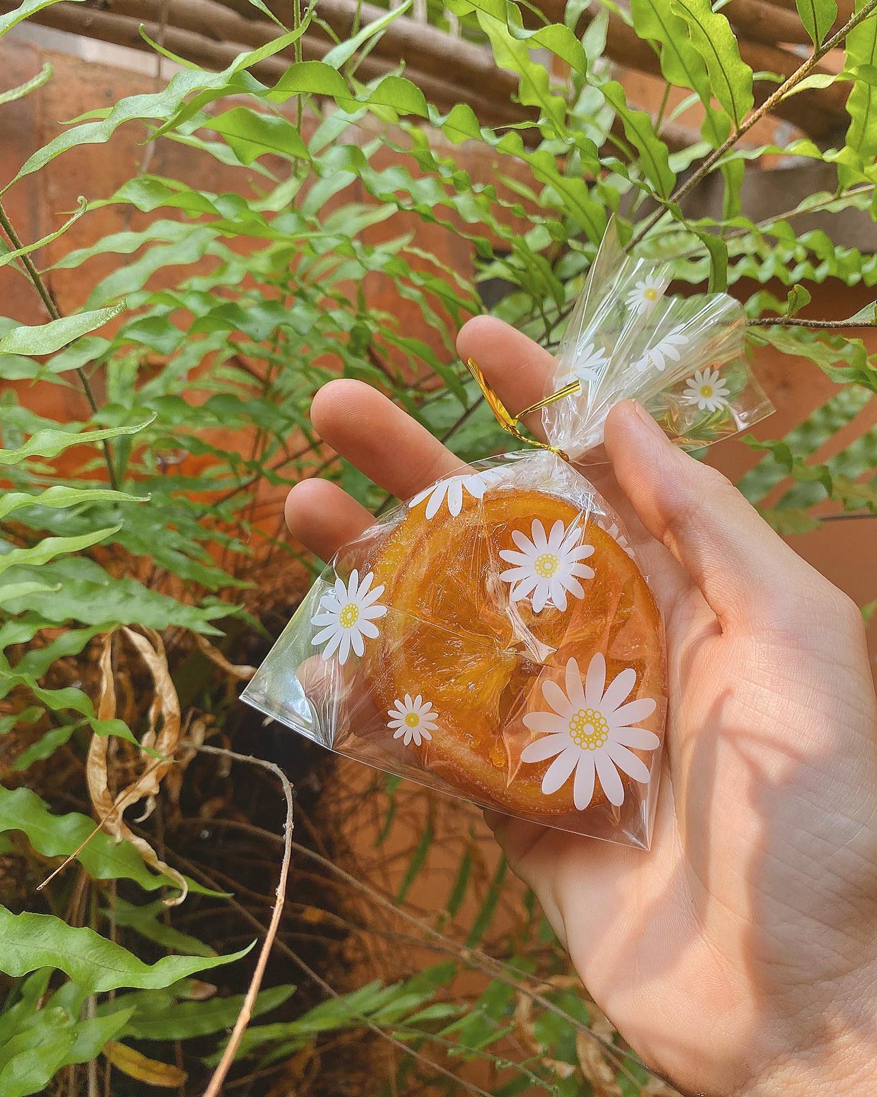An iced drink topped with a daisy