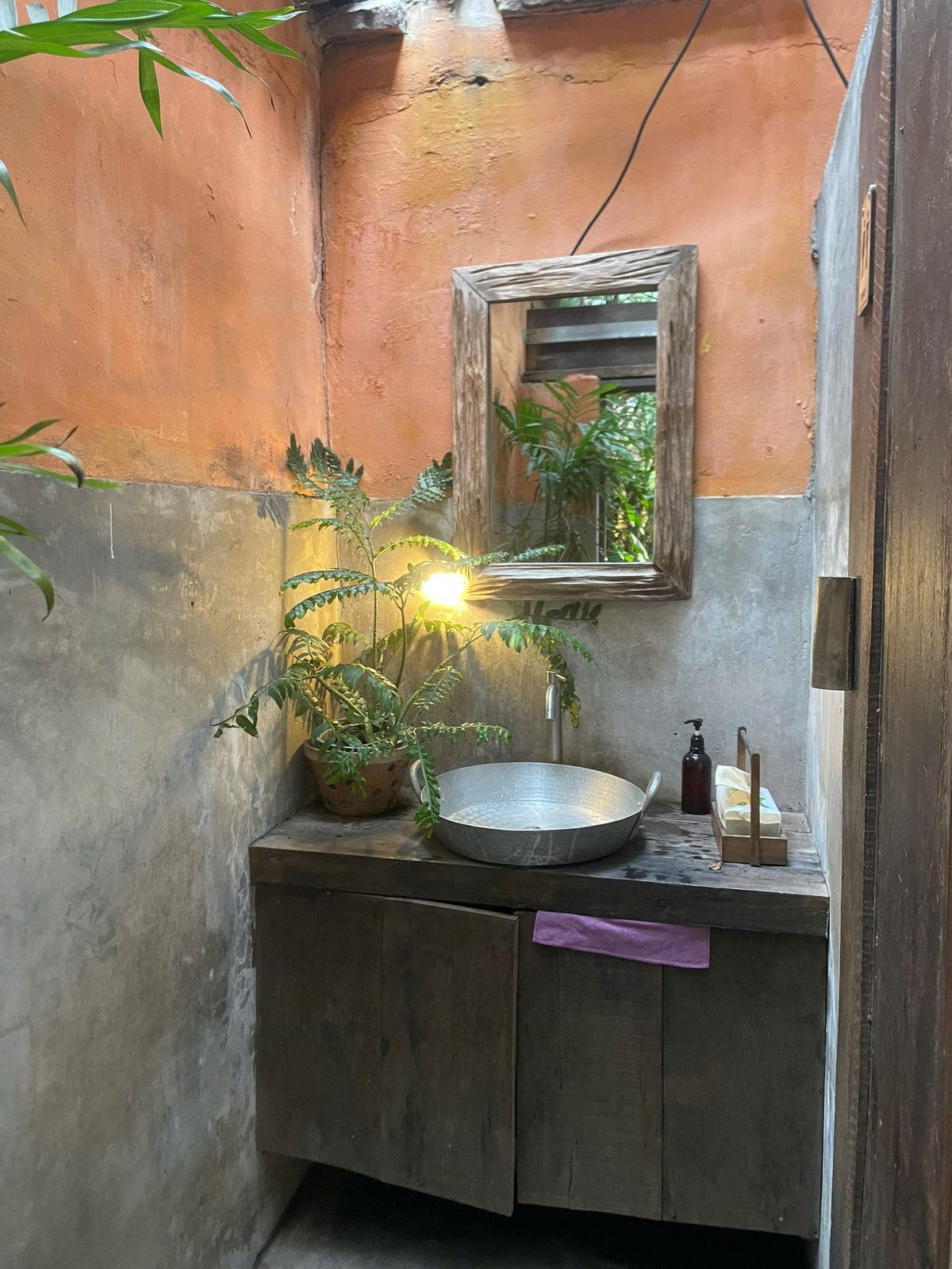 A terracotta wash corner full of plants
