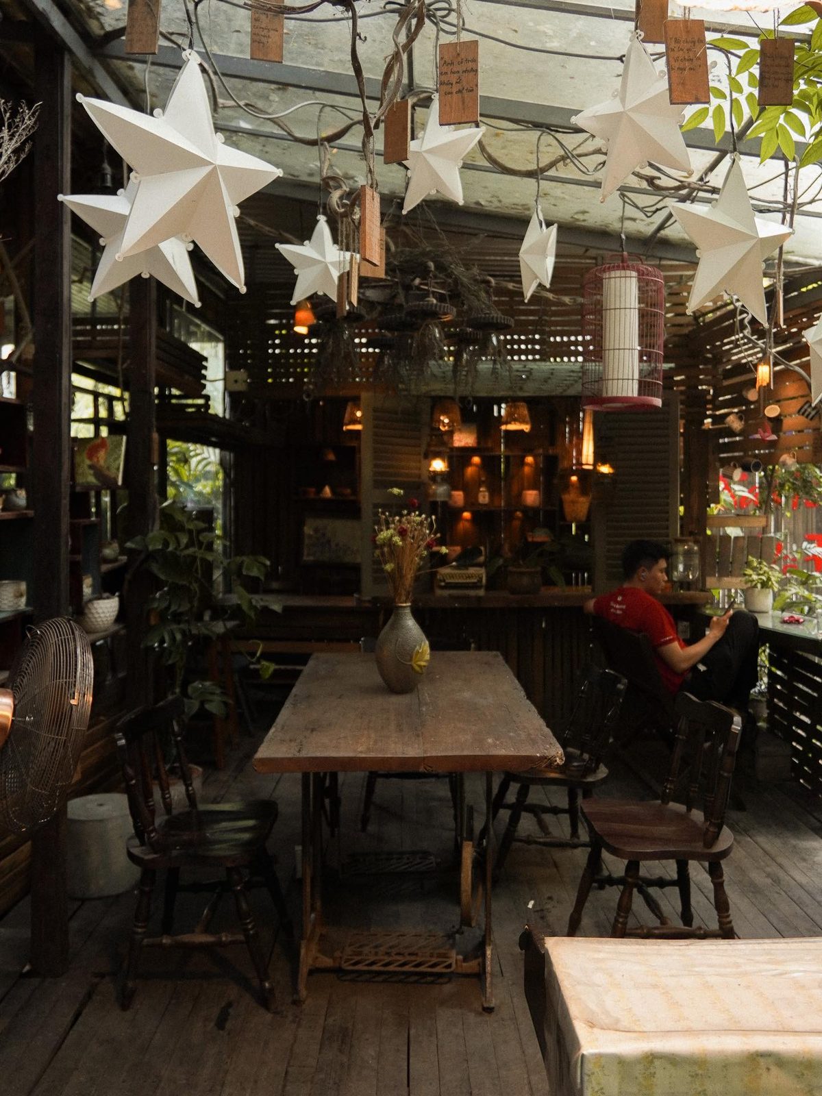 String-light bulbs threaded between potted plants