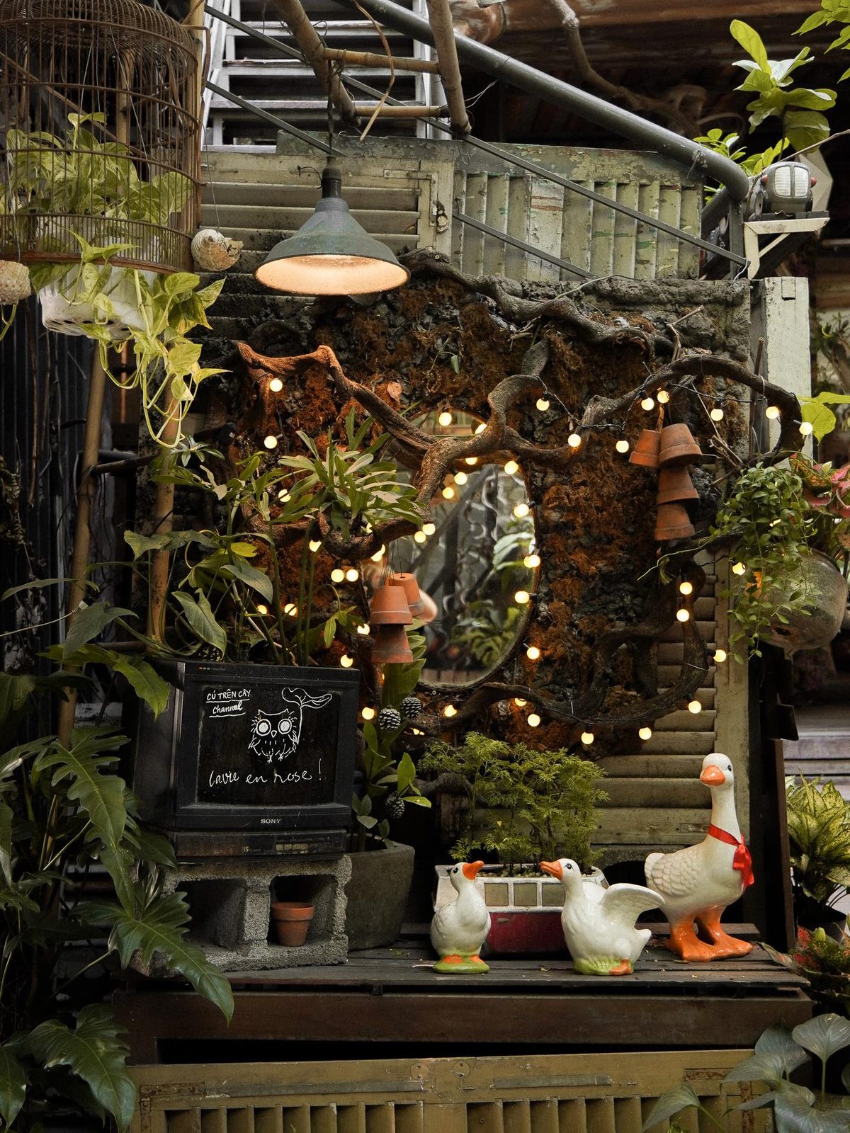 A garden corner with a quoted line
