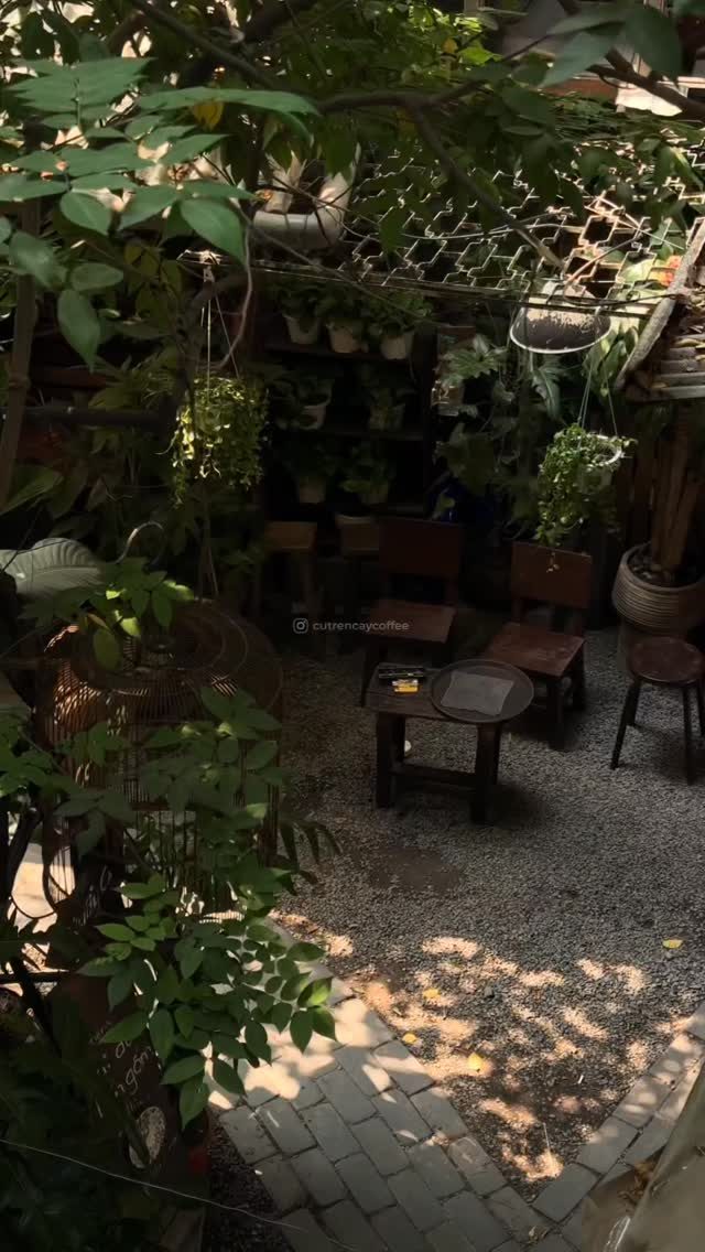 Another corner of Cú's garden