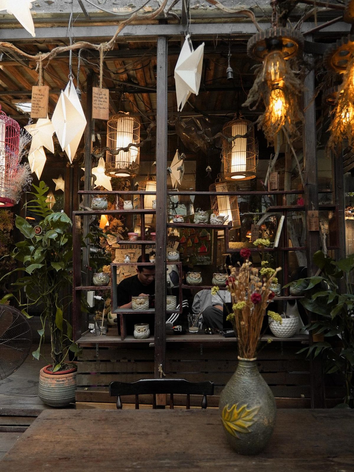 The courtyard, hung thick with plants