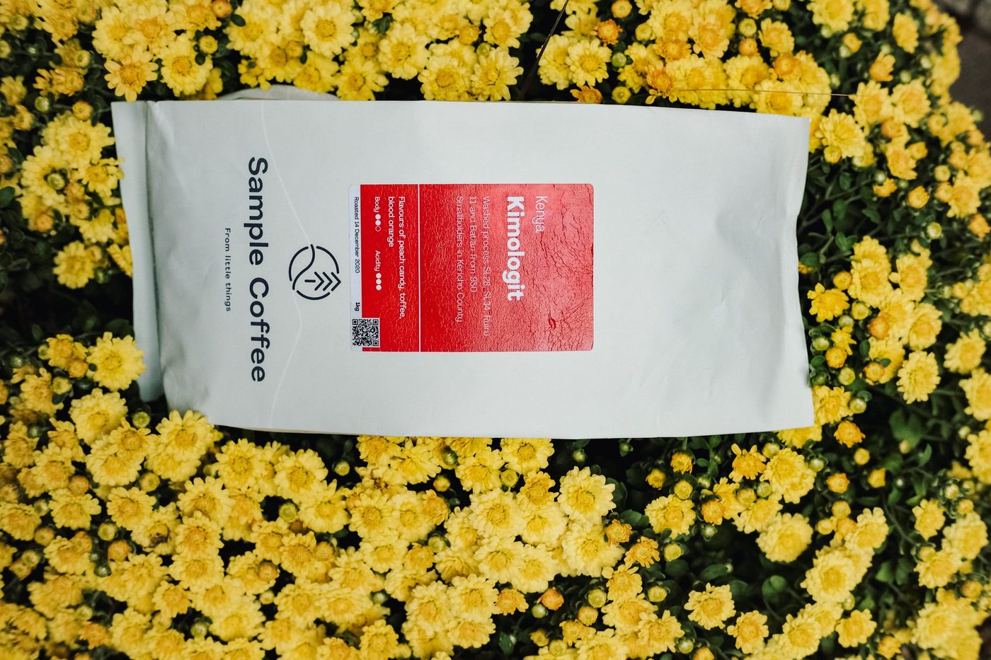 Tết / Lunar New Year; Sample Coffee bag lineups, chrysanthemums