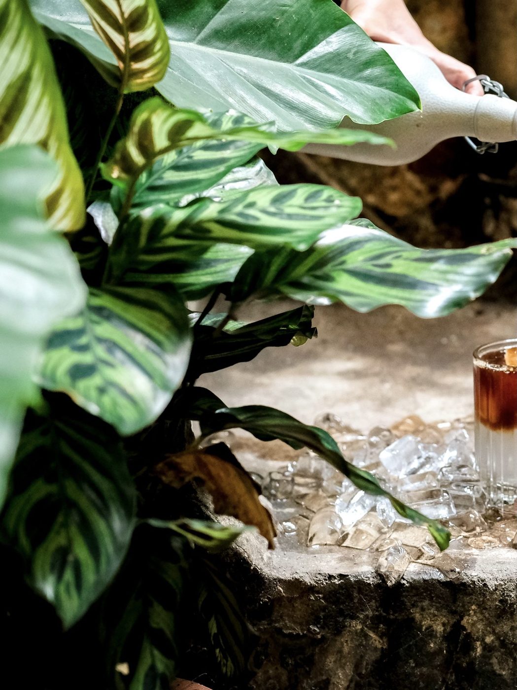 Cold brew bottle series; splash/action photography, single-origin bags