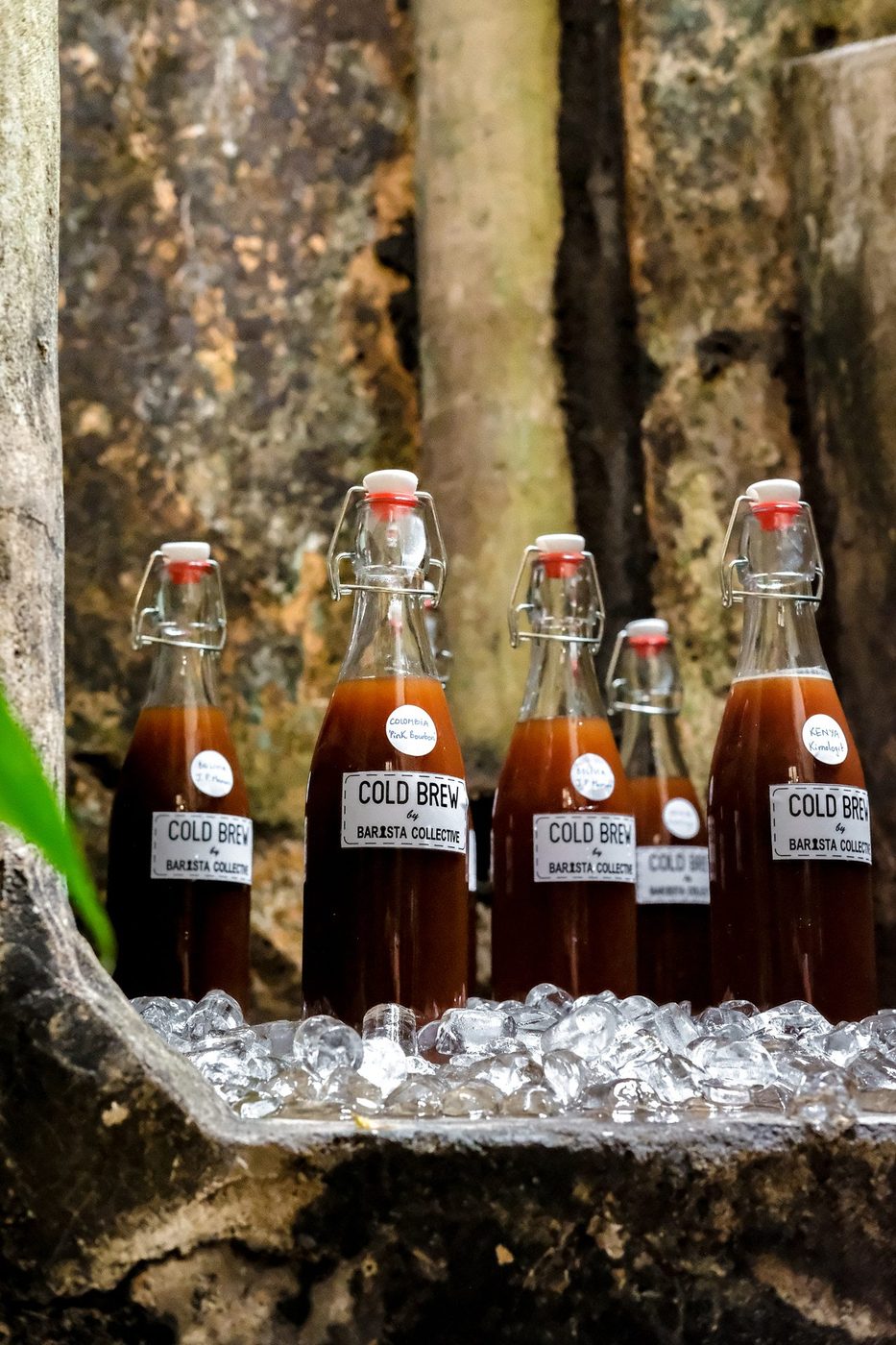 Cold brew bottle series; splash/action photography, single-origin bags