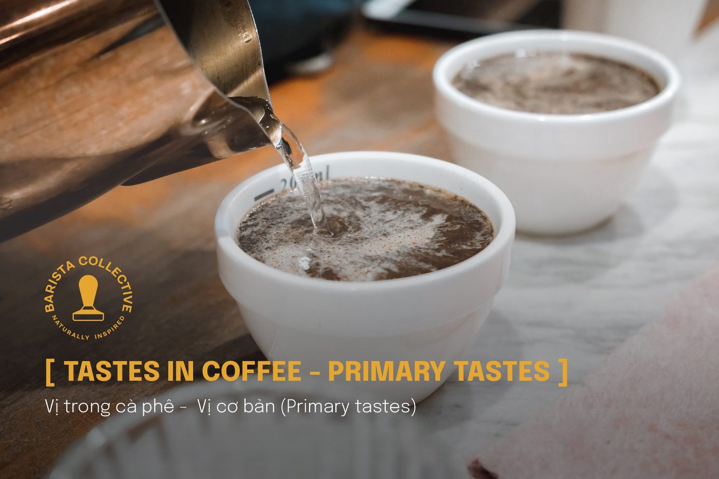 Coffee education content; bottle street shots, candid customers