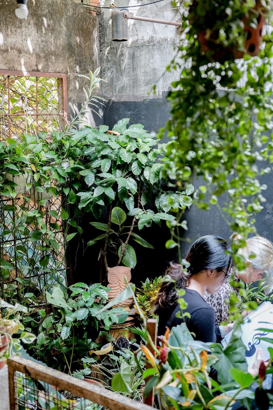 Coffee education content; bottle street shots, candid customers