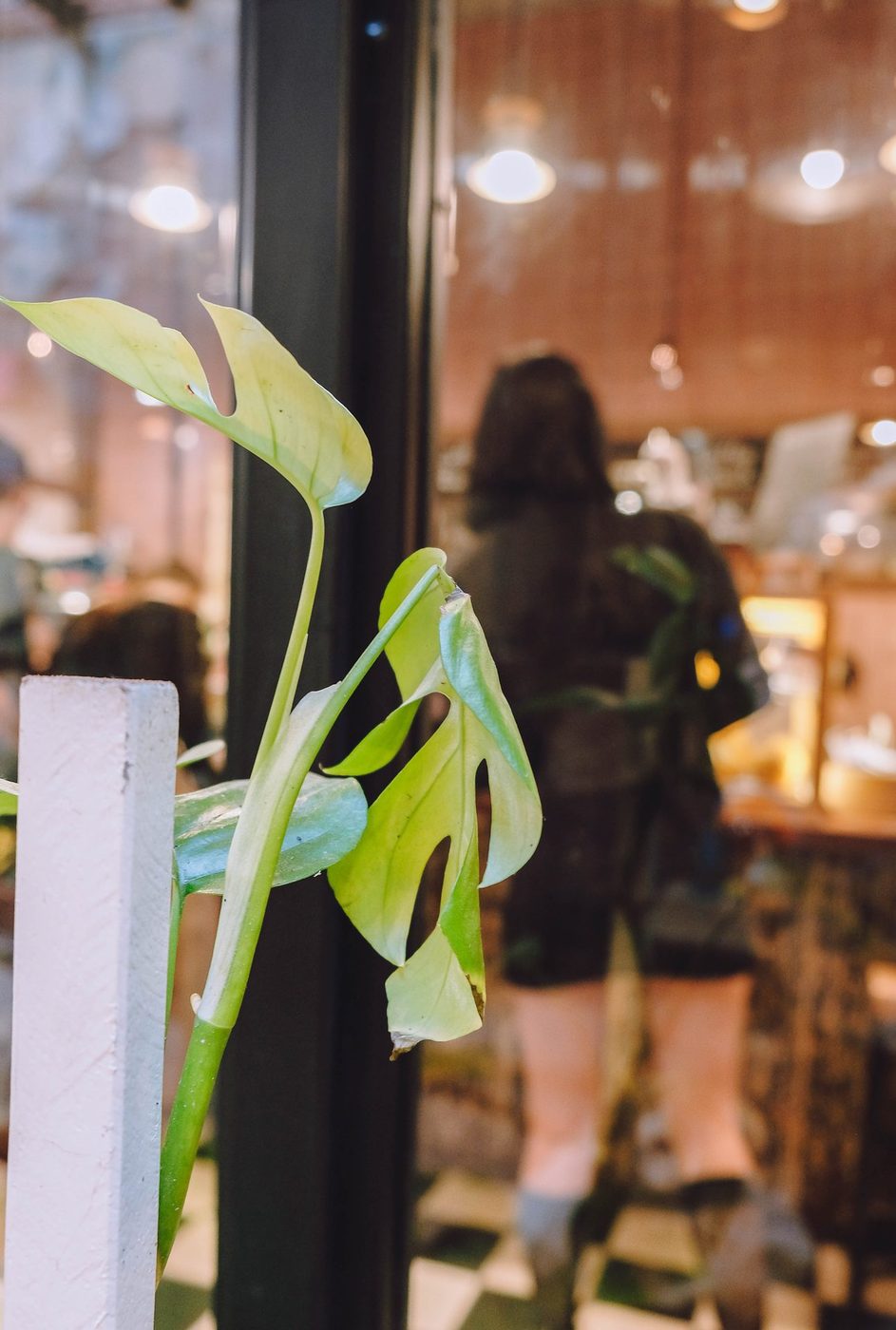 Lush garden; vine-covered exterior, courtyard interior, candid customers