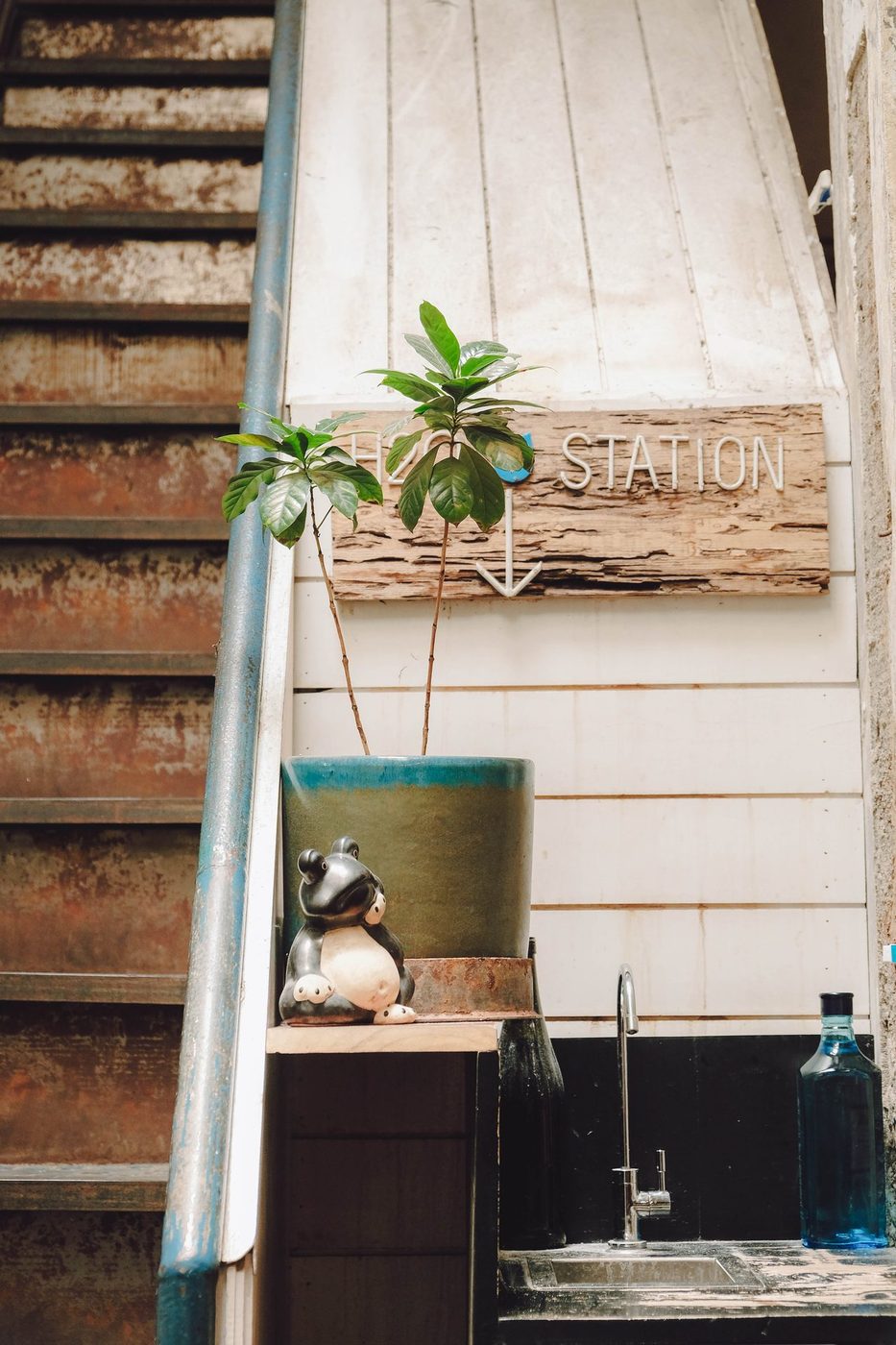 Leaf-framed drinks, behind-bar candids, educational branding