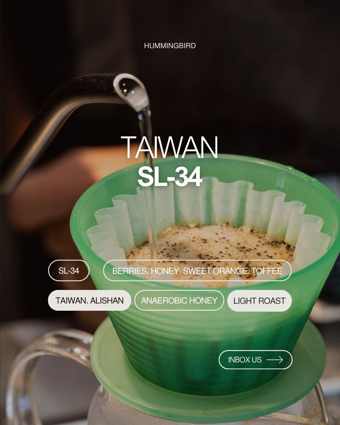 Taiwan SL-34 single-origin tasting card beside Blue in Green bean bags