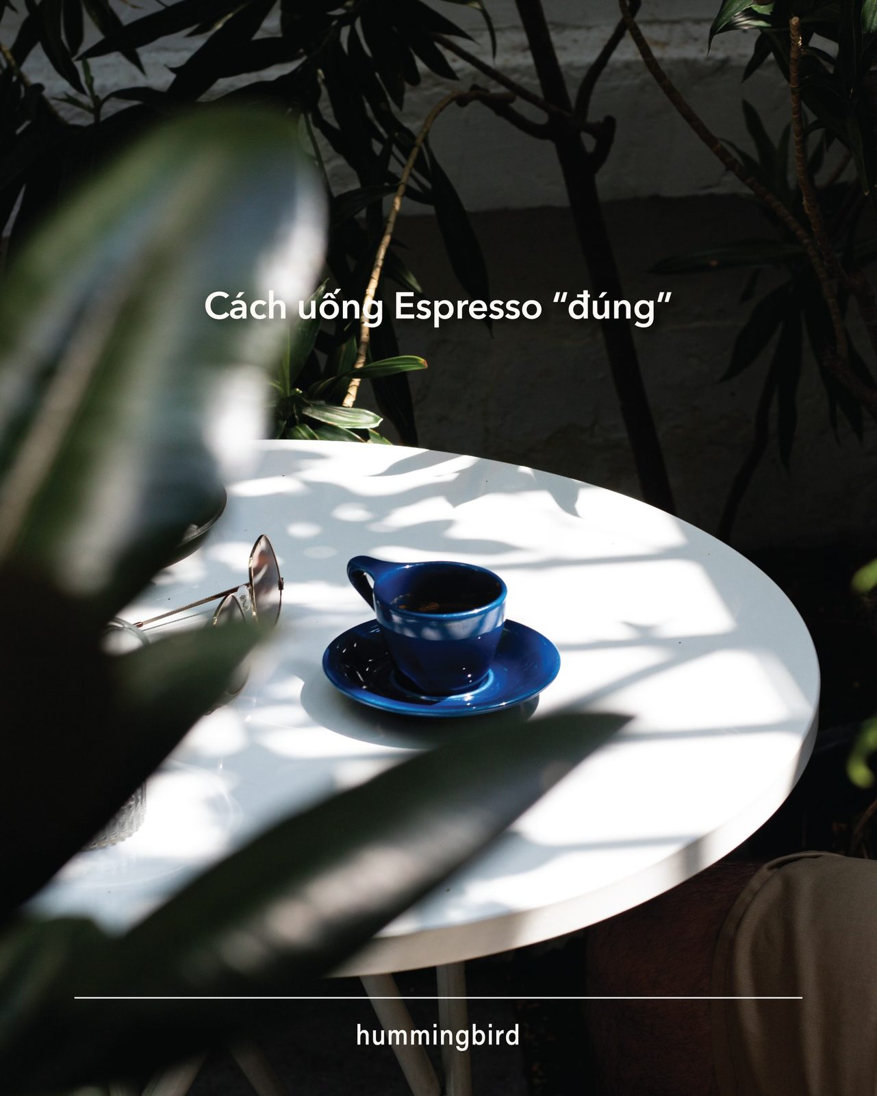“Cách uống Espresso 'đúng'” educational card
