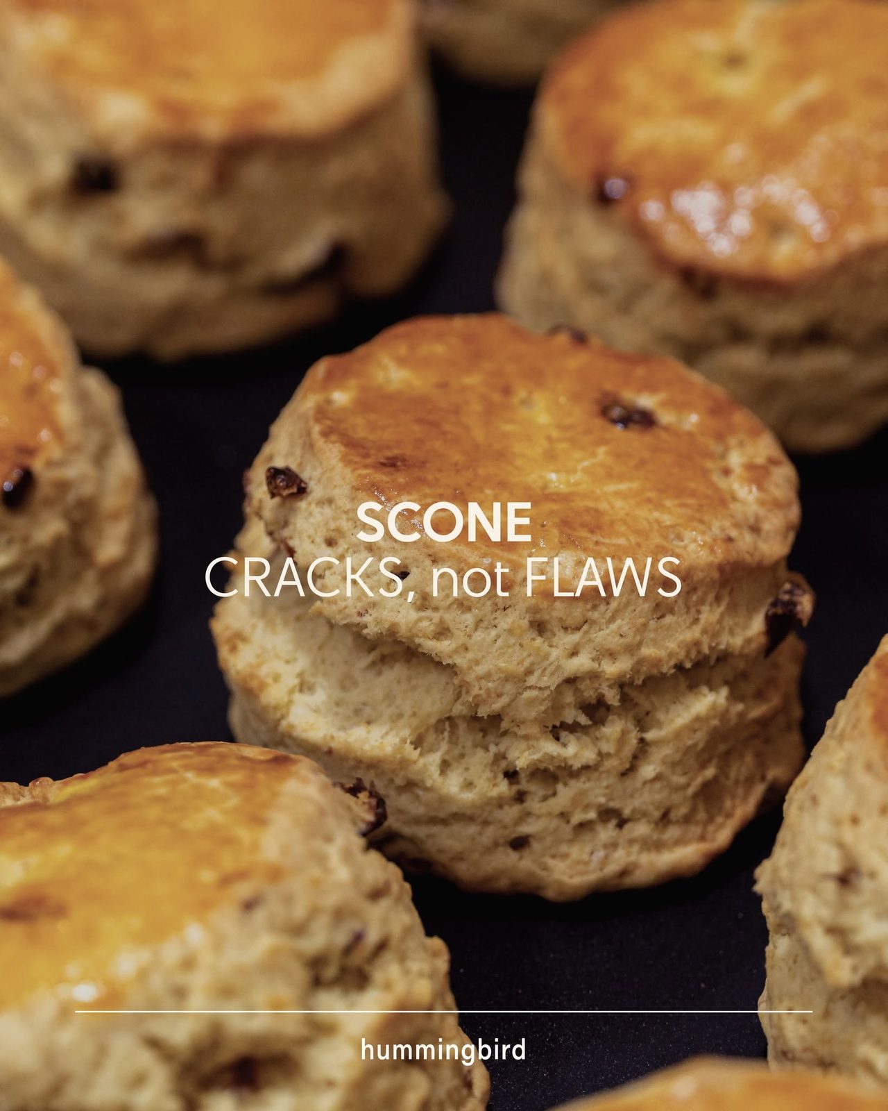 Scone captioned “SCONE CRACKS, not FLAWS”