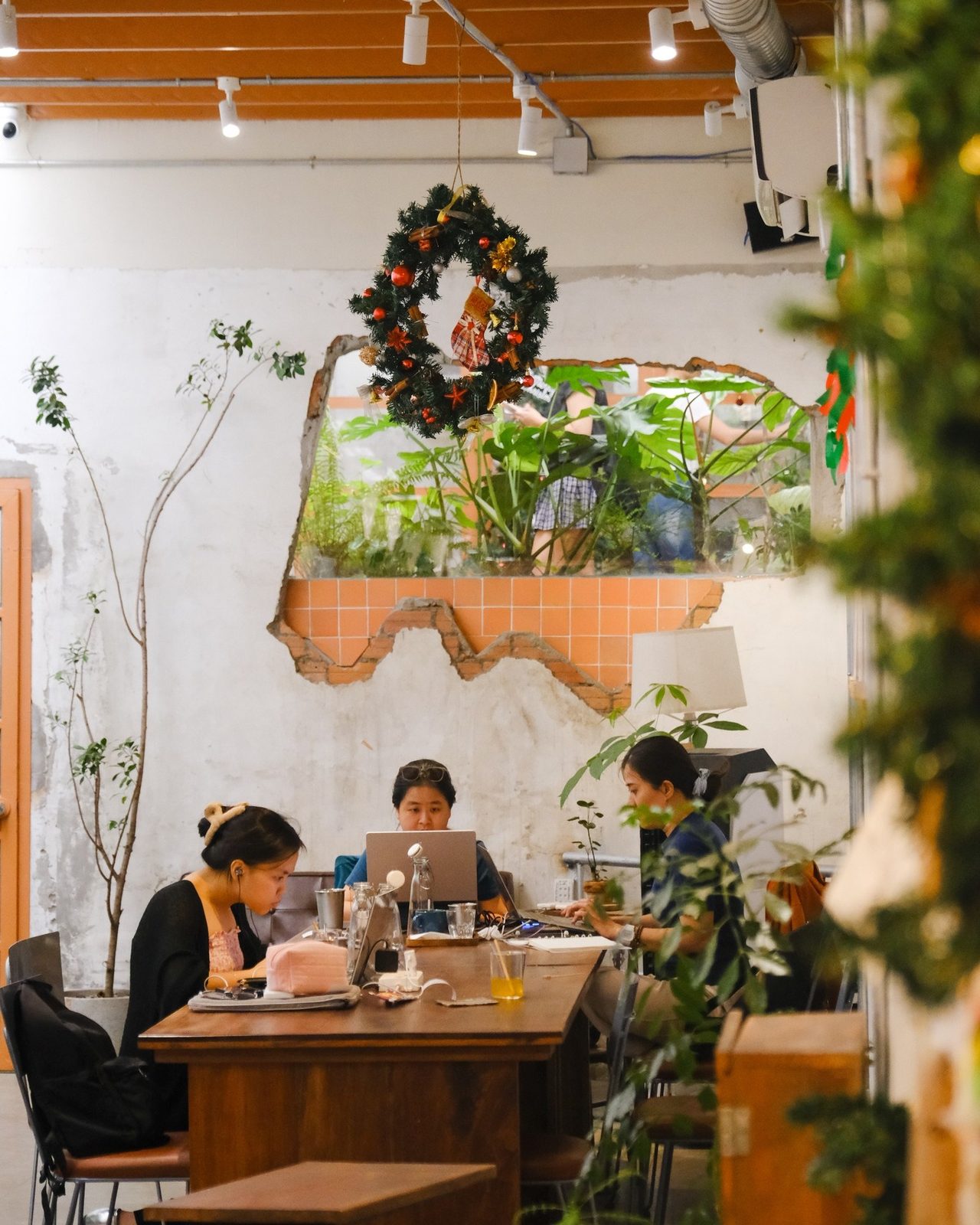 A cozy plant-filled nook