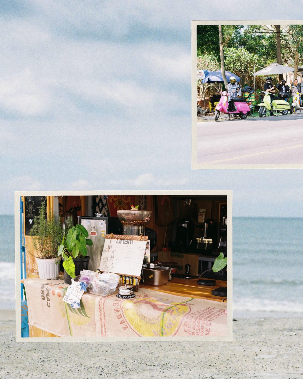 Film-photo collage: a beach scene inset over the counter and plants