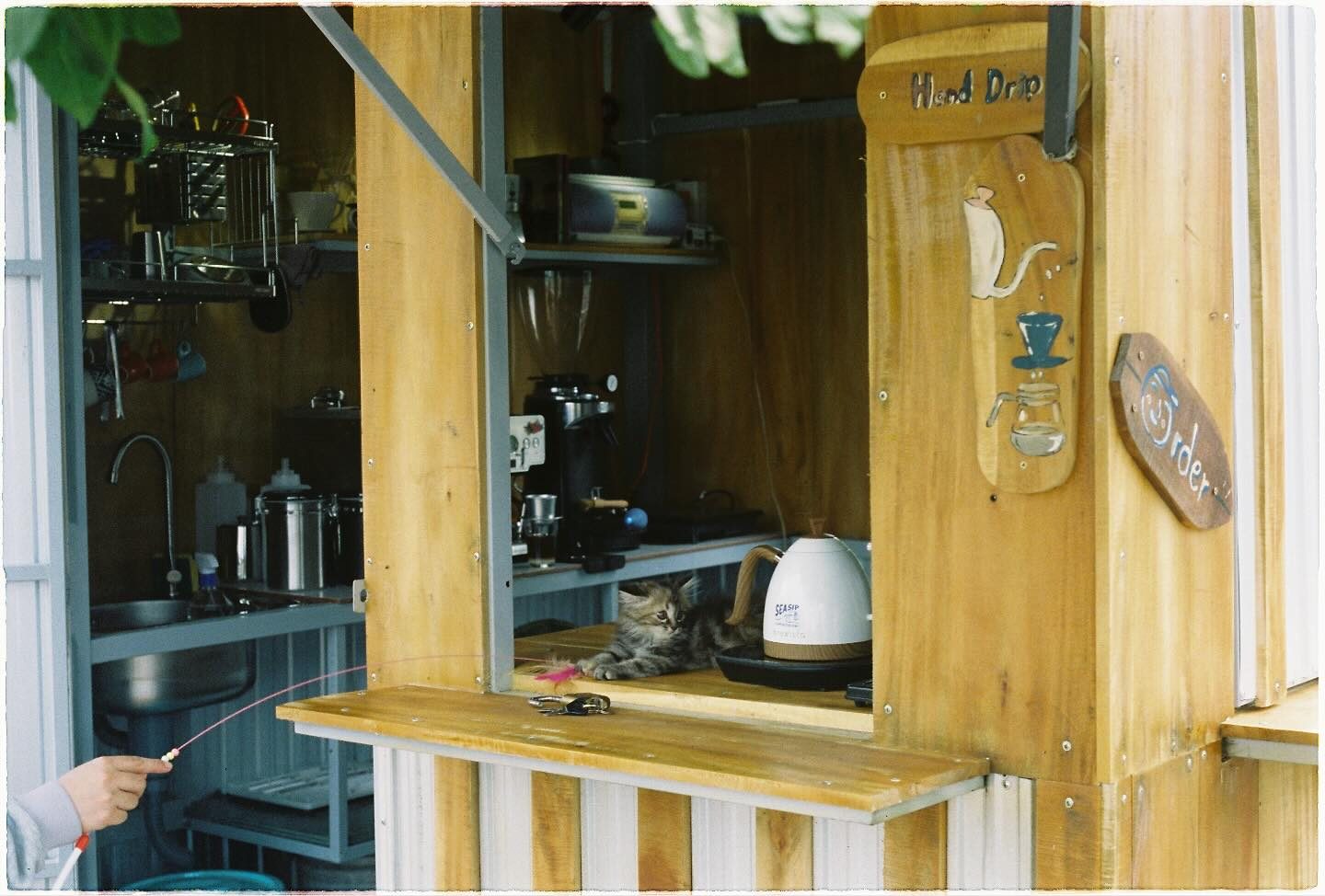Interior counter detail