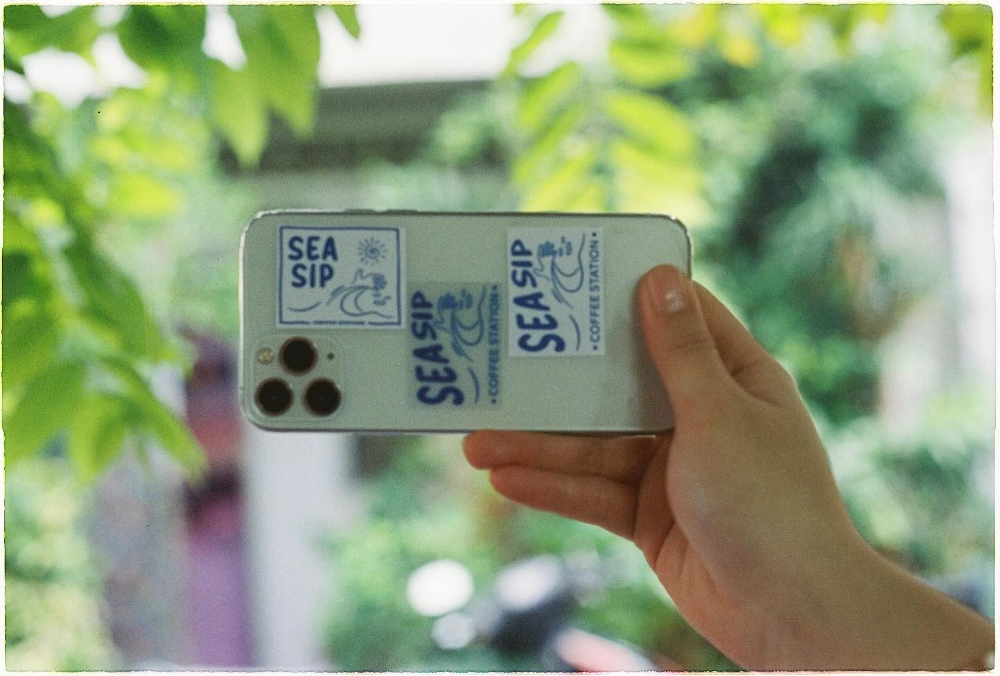 A second angle of the same logo sticker, green leaves in the background