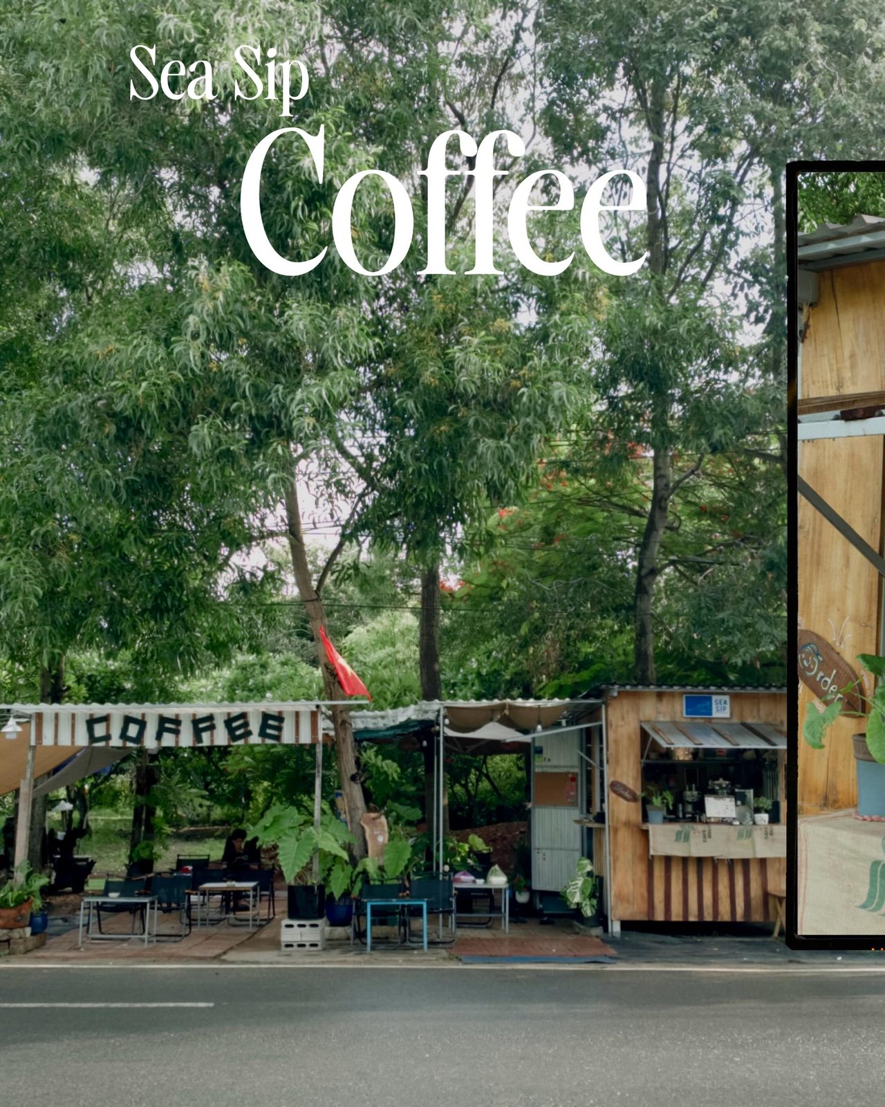 The Sea Sip wooden kiosk under trees, roadside