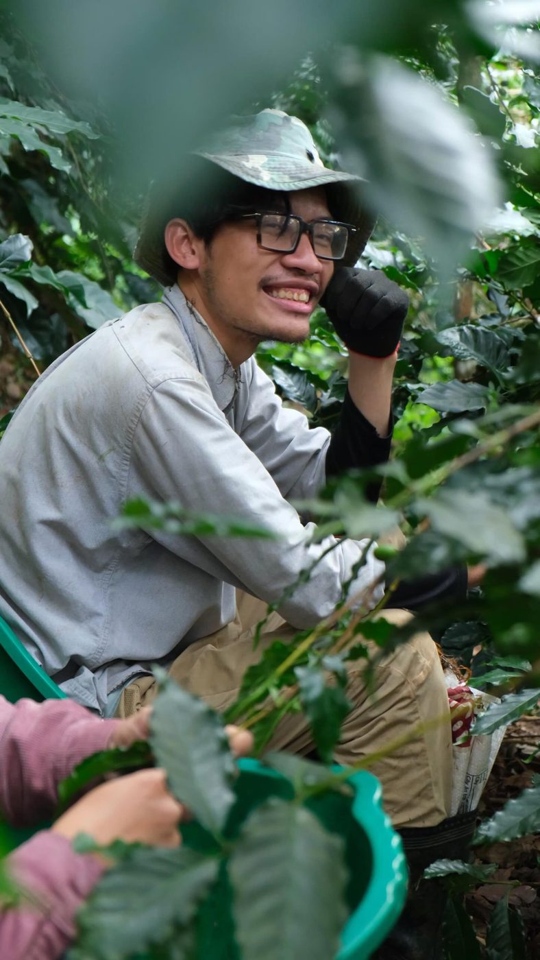 Among the coffee plants at Sơn Farm