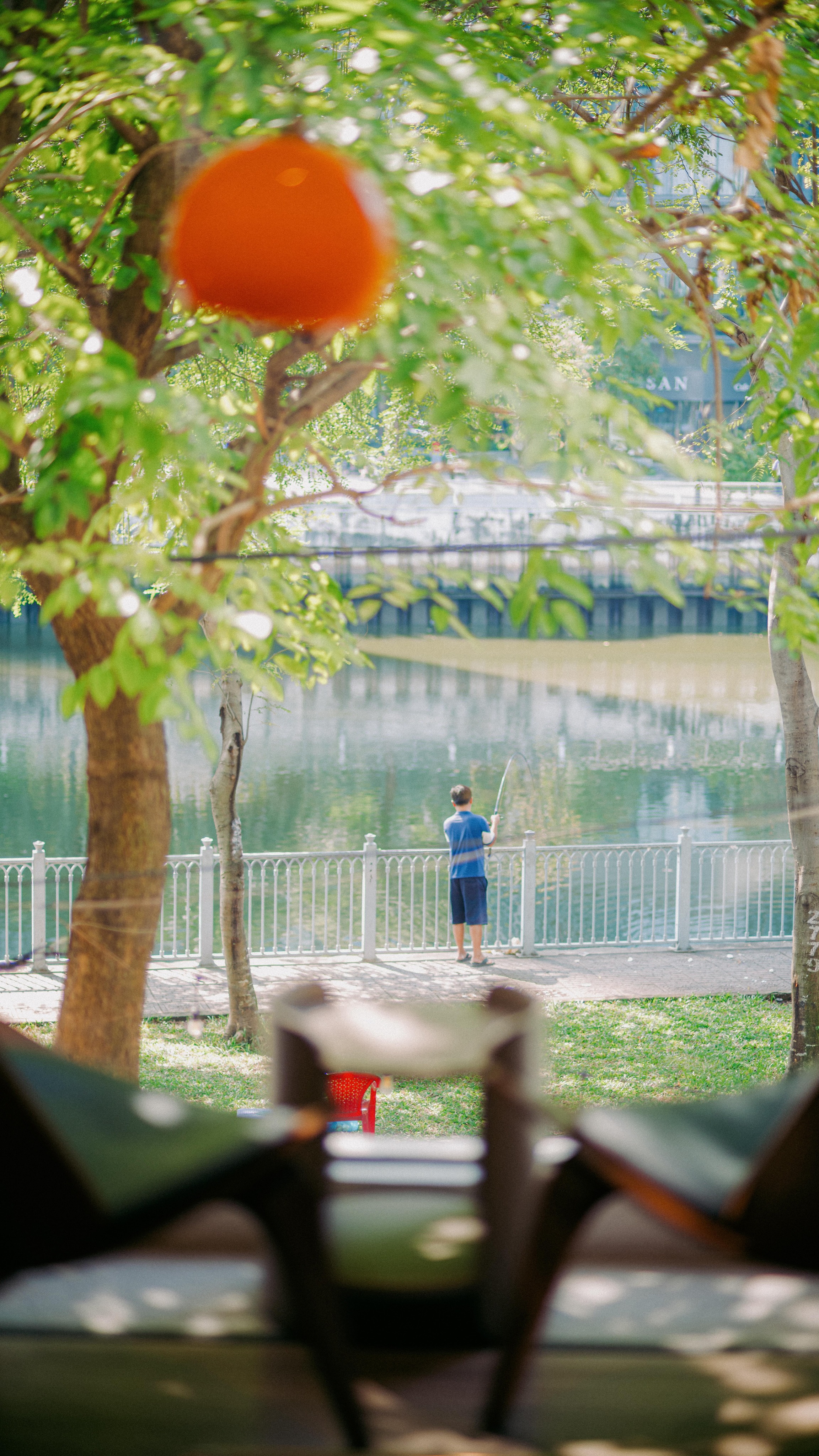 Window onto a tree — the 6-month mark at Trap Space