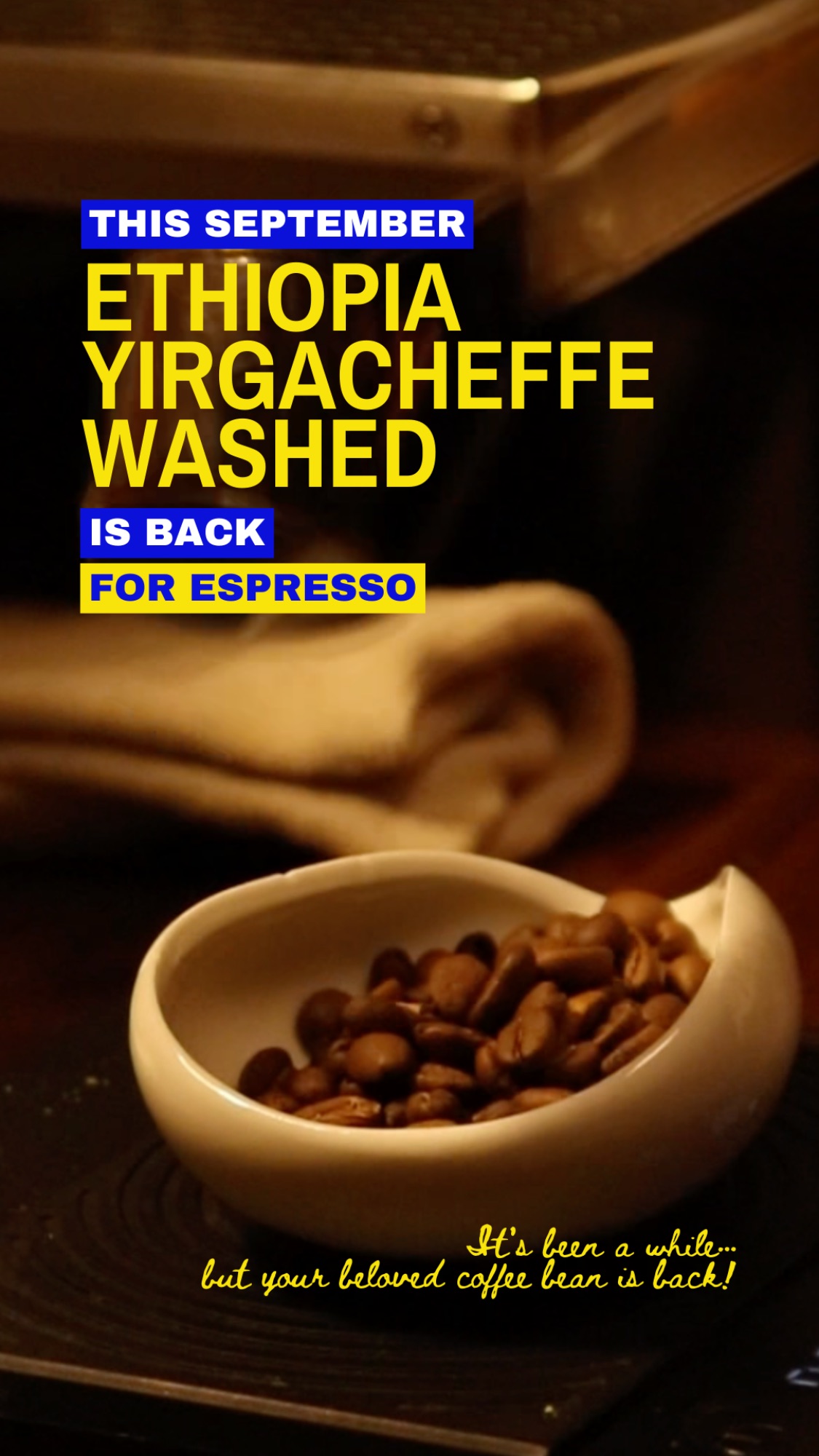 Ethiopia Yirgacheffe Washed sourcing graphic