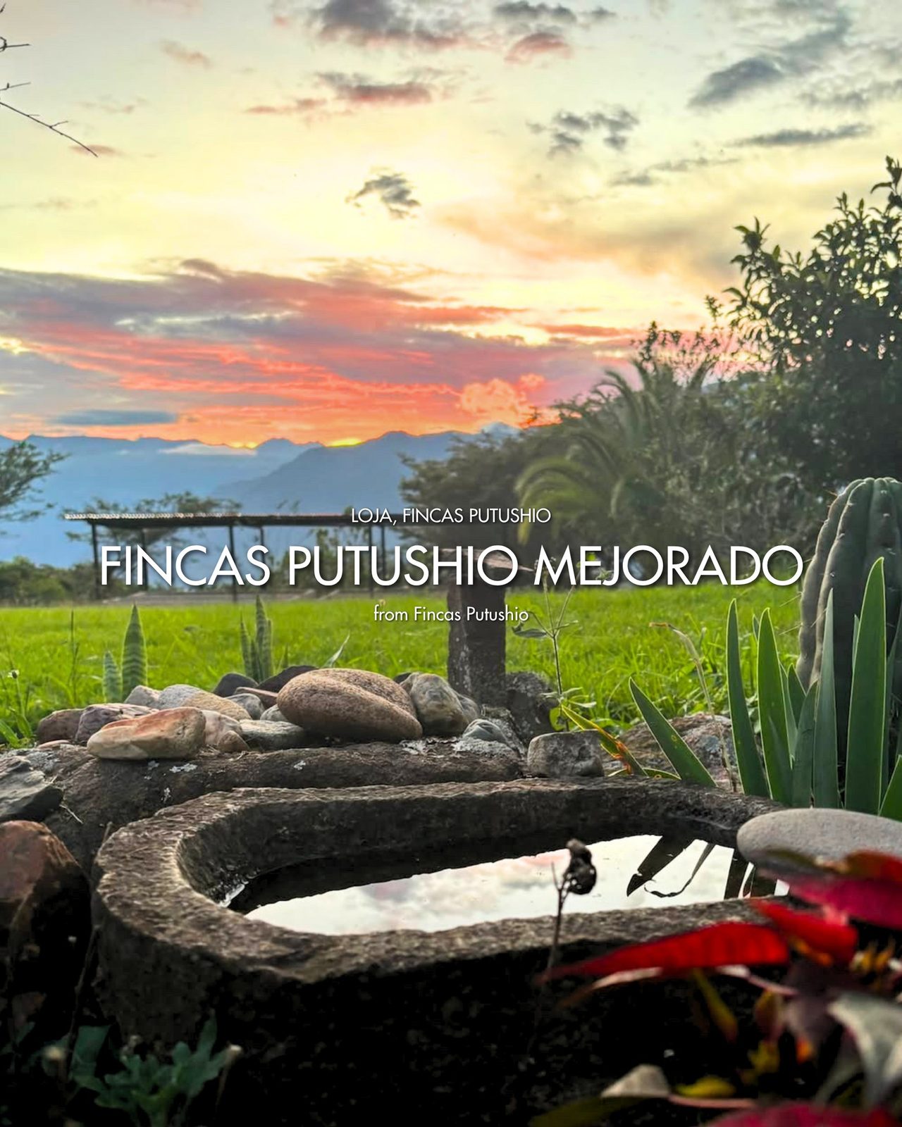 Fincas Putushio Mejorado