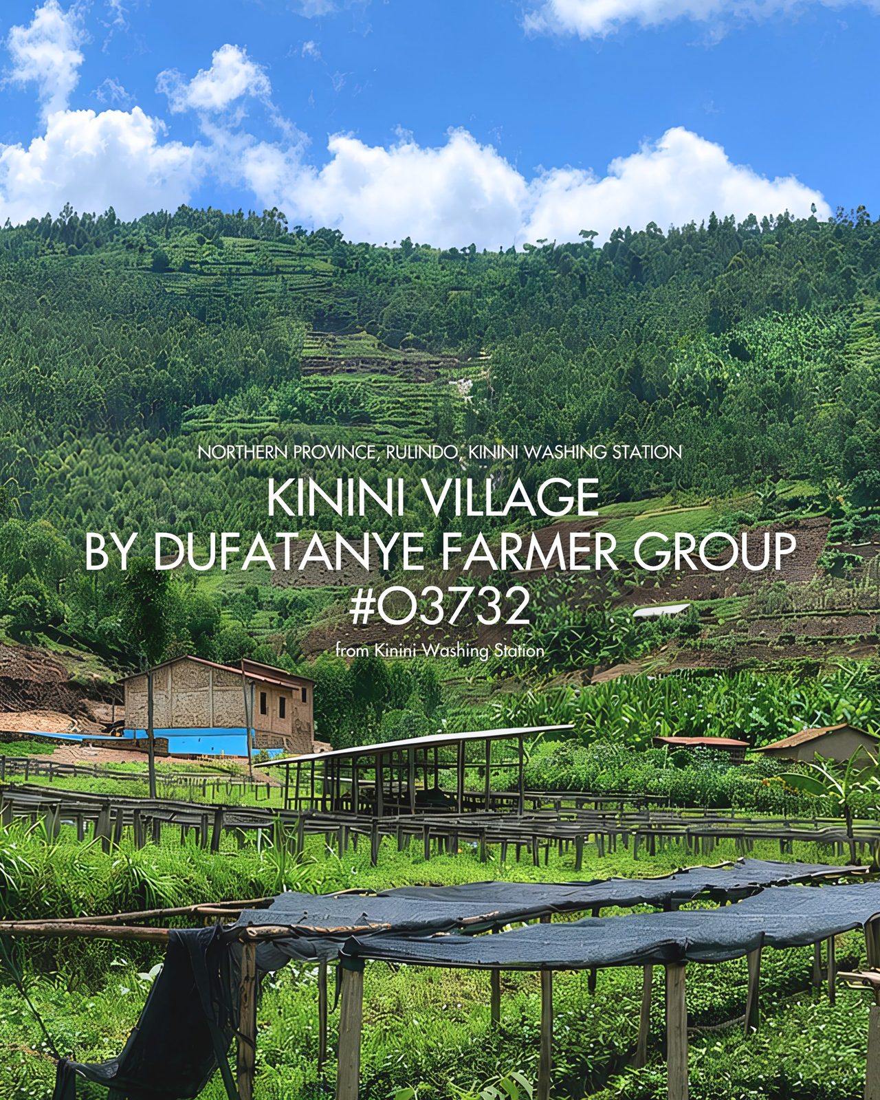 Kinini Village by Dufatanye Farmer Group #03732